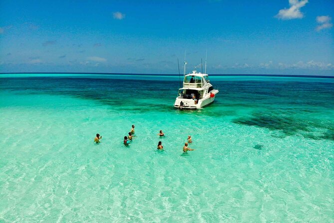Cielito Cozumel: Mexican Caribbean Snorkeling Tour - Stop 1 Palancar Reef: Coral Caves, Fans, and Giant Sponges
