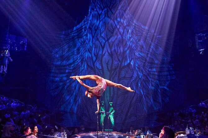Cirque du Soleil JOYÀ Admission Tickets - Cancun To The Jungle Theater: Where JOYÀ Happens