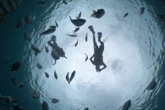 Clear Boat & Snorkel Cozumel Tour with Drinks - A clear-boat sail plus snorkeling, with UNESCO waters