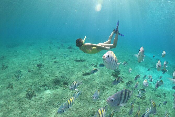 Clear Boat & Snorkel Cozumel Tour with Drinks - Timing and how to choose a departure