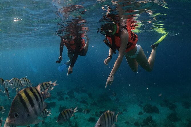 Clear Boat & Snorkel Cozumel Tour with Drinks - Meeting point in Centro: Av. Rafael E. Melgar 221