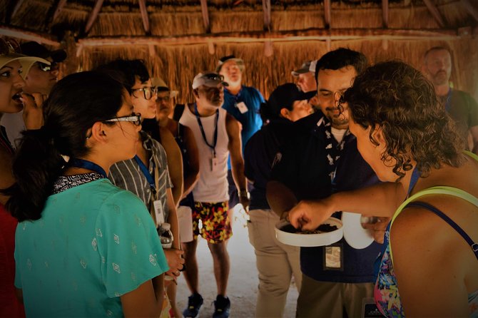 Coba and Tulum, cenote swim and buffet lunch - Stop 2: Cobá ruins and the Nohoch Mul climb (42 meters) you came for