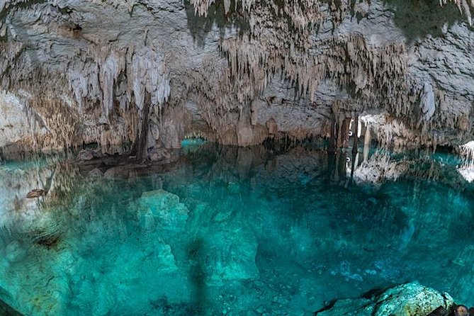 Coba Private Tour – Ancient Ruins & Refreshing Cenote Swim - Coba at first light, bike freedom, and the guide who finds the meaning