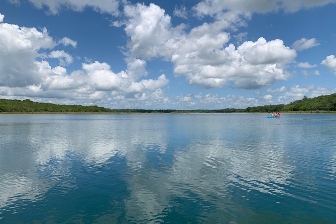 Coba Ruins and Punta Laguna Monkey Reserve Day Tour from Tulum - Coba ruins and Nohoch Mul: the climb that changes the view