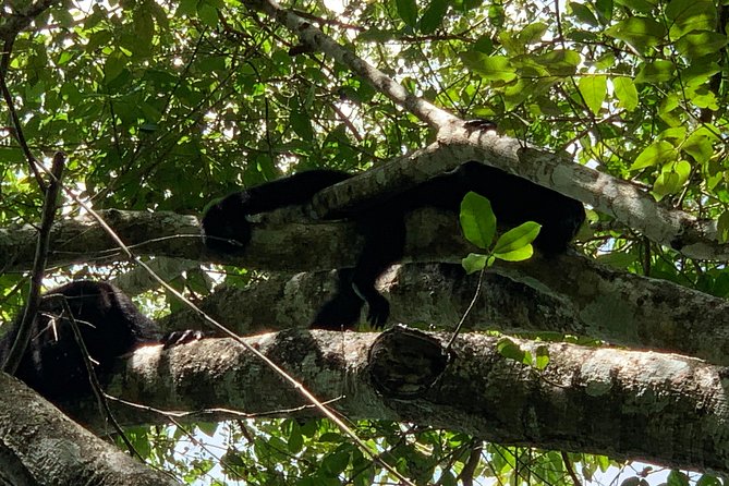 Coba Ruins and Punta Laguna Monkey Reserve Day Tour from Tulum - Lagoon kayaking and zipline: the water and the adrenaline switch