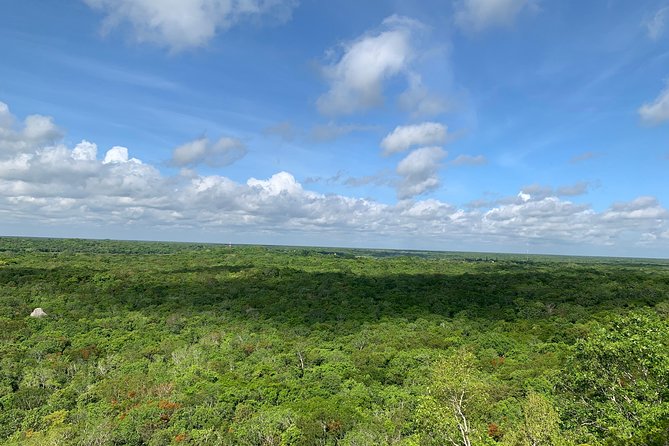 Coba Ruins and Punta Laguna Monkey Reserve Day Tour from Tulum - Who this tour fits best in Tulum