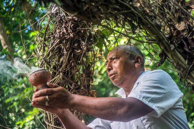 Coba Ruins, Punta Laguna Nature Reserve, Cenote and Mayan family - Lunch with a Mayan family: the cultural stop that actually feeds you