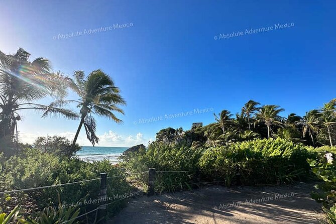 Coba & Tulum – Private Mayan Ruins Tour with Certified Guide - Your guide can make or break Coba and Tulum