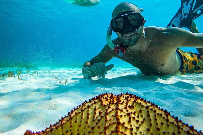 Colombia, Palancar & Cielo Cozumel Snorkel Tour - Colombia Reef: A Reef Stop That’s Built for Wildlife Spotting