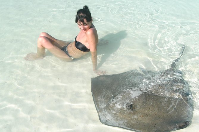 Contoy Island - Key Highlights You’ll Feel Right Away