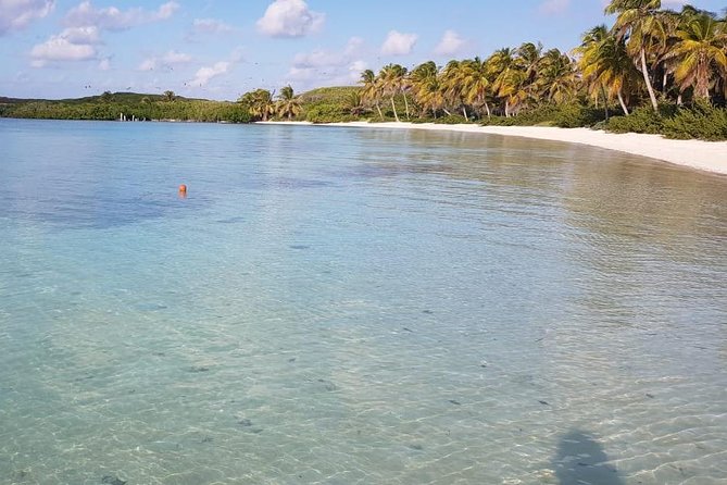 Contoy Island - Stop 3: Second Isla Contoy Time and a Snorkel in Clear Water