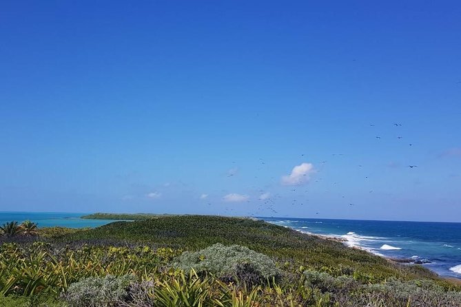 Contoy Island - What the Boat Day Feels Like: Timing, Wind, and Pace
