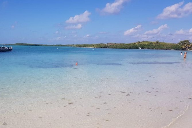 Contoy Island - Best Things About This Tour, Based on Real Feedback