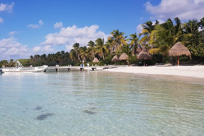 Contoy Island - Getting to the Day: Playa del Carmen, Pickup Limits, and Where You Meet