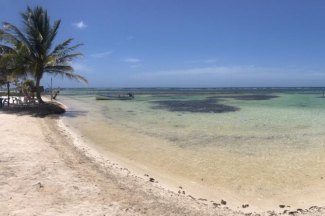 Costa Maya Beach Break All Inclusive From Port - Service at the Beach Club: Why People Keep Mentioning the Staff