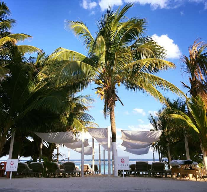 Costa Maya: Beach with Open Bar, Massage, Lunch & Snorkeling - Pitaya Beach Club Setup: Small-Group Beach Beds and Real Services