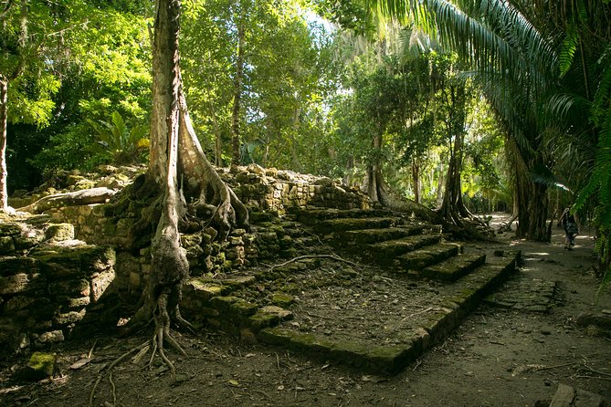 Costa Maya Shore Excursion: Chacchoben Day Trip - Costa Maya Port Day, Without the Waiting Game