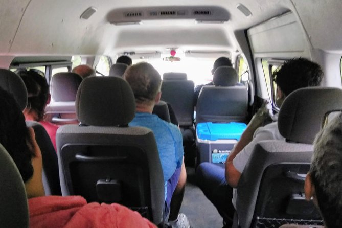 Costa Maya Shore Excursion: Chacchoben Day Trip - Jungle Wildlife Moments You Might Actually See
