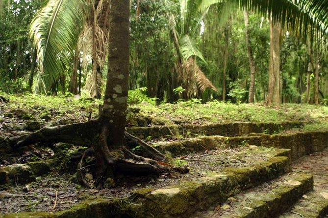 Costa Maya Shore Excursion: Chacchoben Day Trip - When You Leave: Timing That Fits Cruise Reboarding