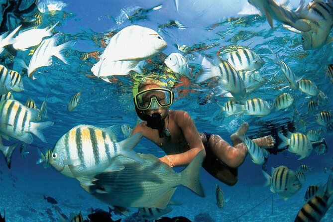 Costa Maya Snorkel Tour - Weather, Cancelations, and When You Should Reconsider