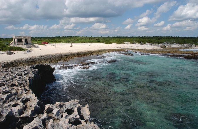 Cozumel 5-Hour Private Bar Crawl Tour - Key Highlights That Matter for Your Day