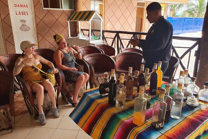 Cozumel 5-Hour Private Bar Crawl Tour - Mojito Factory: Miami Cozumel Vibes by the Water