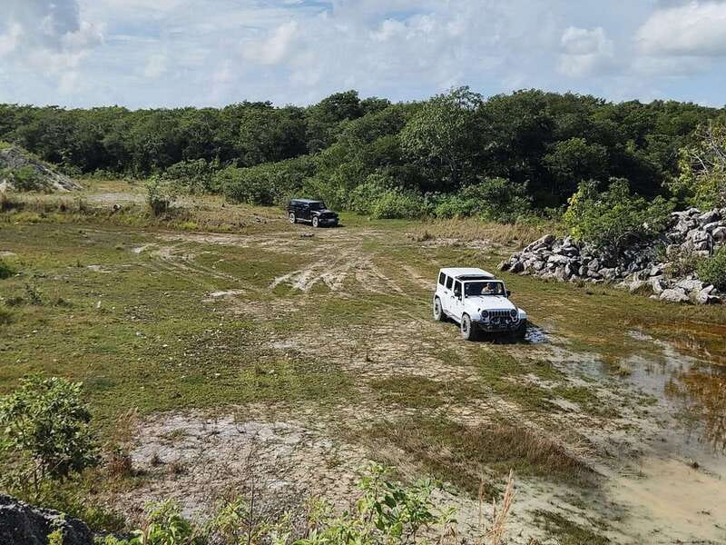 Cozumel: 5-Hour Private Caves and Ruins Tour with Lunch - Hacienda stop and Tequila Museum tasting, what you should expect