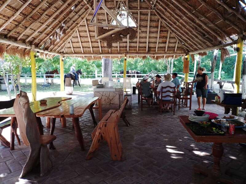 Cozumel: 5-Hour Private Caves and Ruins Tour with Lunch - Who should book this tour, and who should skip it