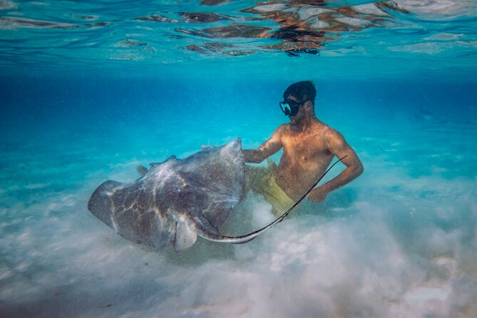 Cozumel All Inclusive: Coast & Relax 4h on 51' Leopard - The all-inclusive food and premium bar, from snacks to dessert