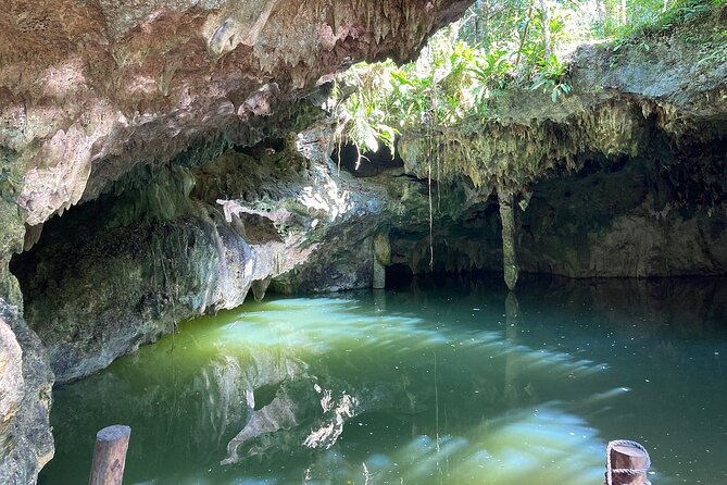 Cozumel ATVs, El Cedral Ruins, Cenote Jade, and Tequila - Practical Tips to Make It Go Smoothly