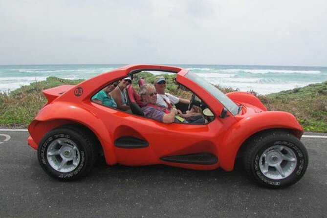 Cozumel Buggy Island Tour, Otoch Mayan Experience & Clear Boat - What a Private Tour Changes for Your Day