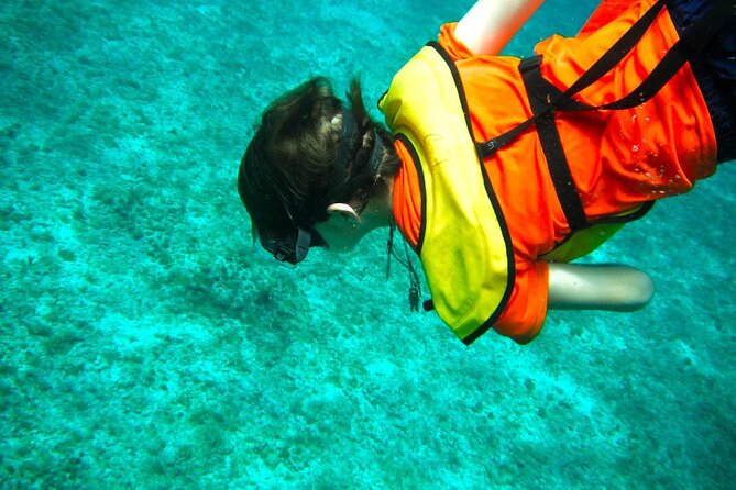 Cozumel Buggy Tour: Snorkeling , Otoch Mayan Experience & Lunch - Otoch Mayan Experience: Rituals, Tequila Education, Chocolate, and Honey