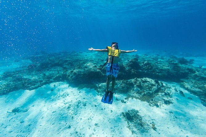 Cozumel Catamaran Snorkeling Tour & lunch - The real vibe: catamaran cruising plus two very different reef stops