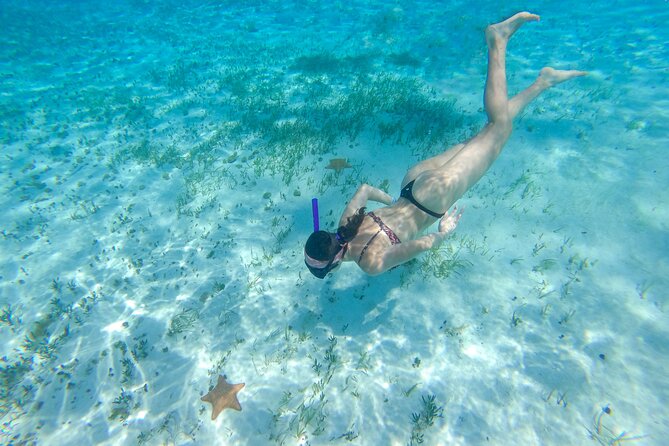 Cozumel Catamaran Snorkeling Tour & lunch - Palancar Reef experience: color, schools of fish, and guided movement