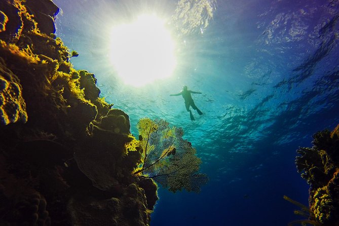 Cozumel Catamaran Snorkeling Tour & Lunch (Hotel Pick Up) - Snorkeling in the water: what “strenuous” means here