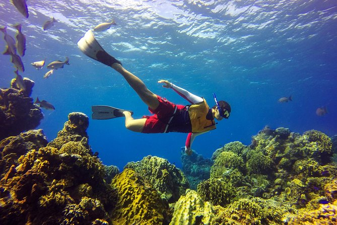 Cozumel Catamaran Snorkeling Tour & Lunch (Hotel Pick Up) - Lunch and drinks: included Mexican comfort food, plus alcohol after snorkeling
