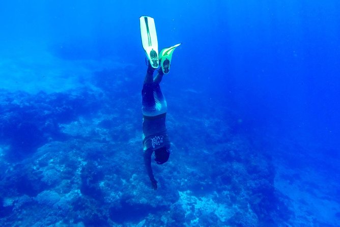 Cozumel Catamaran Snorkeling Tour & Lunch (Hotel Pick Up) - Who should book this Cozumel catamaran snorkeling tour