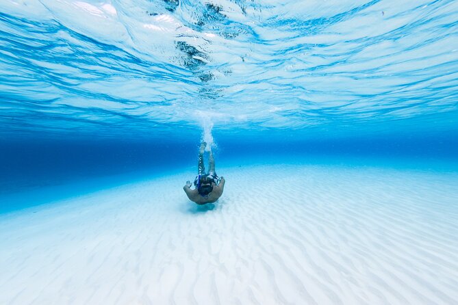 Cozumel Catamaran Snorkeling Tour & lunch - Playa Mia pier logistics, and why arriving early pays off