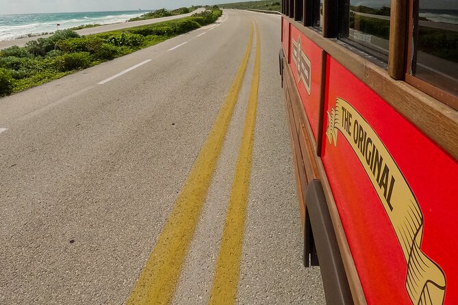 Cozumel City Tour By Trolley - Who this trolley tour is best for