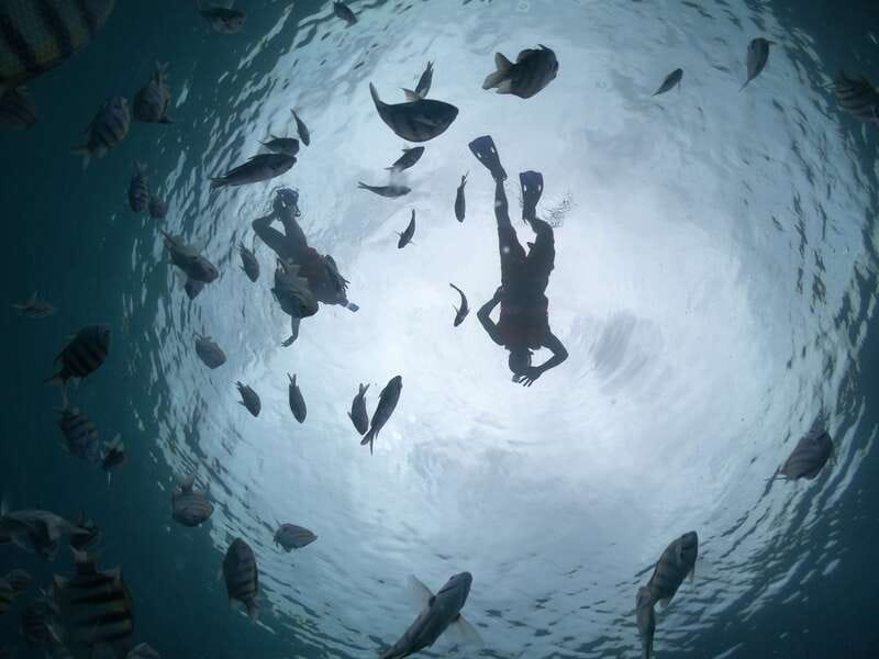 Cozumel: Clear Boat Ride and Snorkeling Trip - Price Value, Dock Fees, and How to Budget Without Surprises