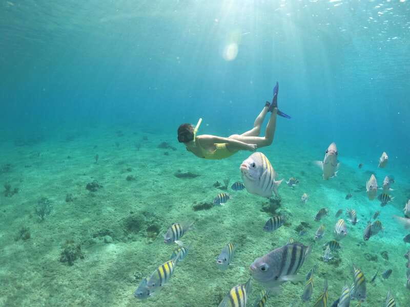 Cozumel: Clear Boat Ride and Snorkeling Trip - Meeting at Av. Rafael E. Melgar 221, and What Happens Next