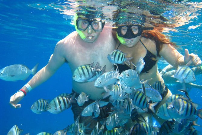 Cozumel Coral Reef Snorkeling by Glass Bottom Boat with Guide - What You Really Pay: The $35 Base Price Plus the $11 Fee