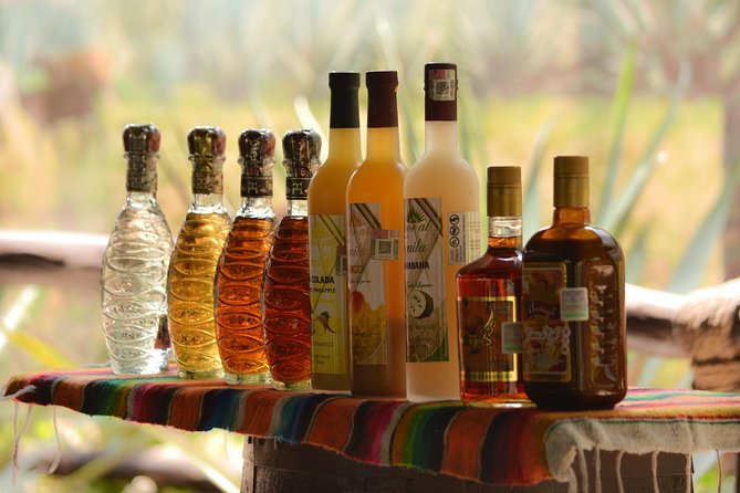 Cozumel Cultural Jeep Tour with Mayan Village and Mexican Lunch - Stop 2: Rancho Alejandra tequila tasting, animals, and distillation talk