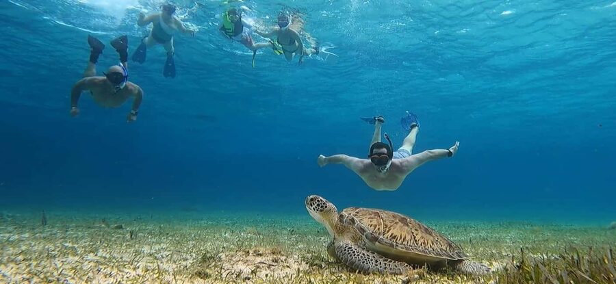 Cozumel, El Cielo: 4-Hour Shared Snorkeling Tour - Palancar reef snorkeling: where the biggest coral is