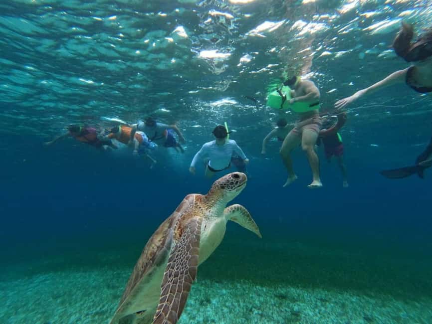 Cozumel, El Cielo: 4-Hour Shared Snorkeling Tour - Price and what $67 really buys
