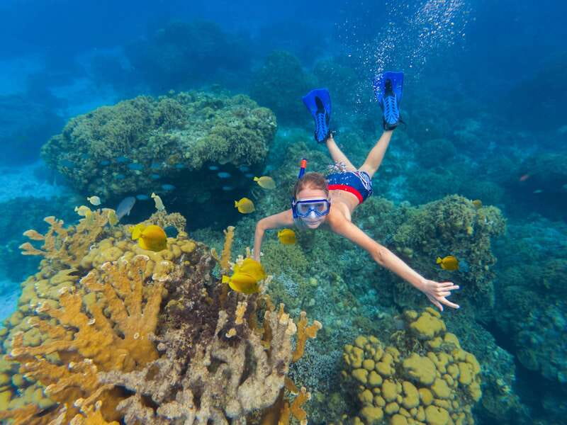 Cozumel: El Cielo, Palancar Reef, and Beach Party with Food - How the 5-hour Fury catamaran day really feels