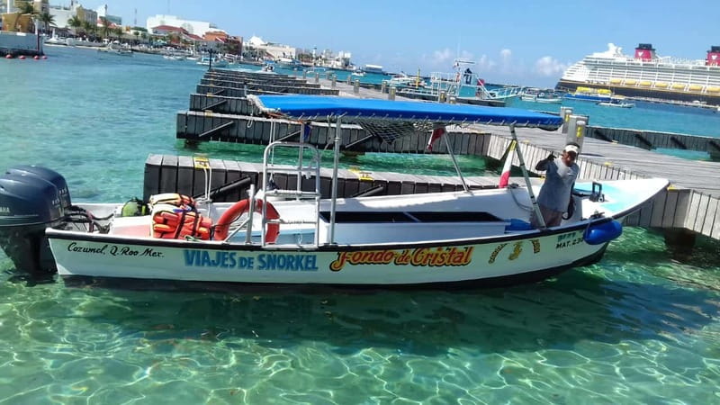 Cozumel: El Cielo & Palancar Snorkel with Open Bar & Ceviche - Key Things I’d Actually Plan Around