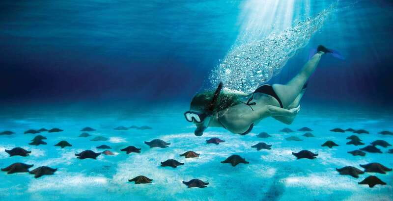Cozumel: El Cielo & Palancar Snorkel with Open Bar & Ceviche - El Cielo and Palancar Reef, the real reason this combo works