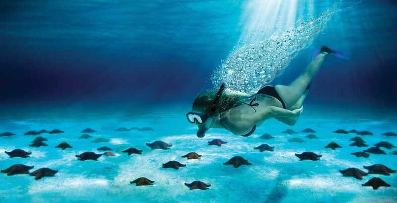 Cozumel: El Cielo & Palancar Snorkel with Open Bar & Ceviche - Who should book this Cozumel snorkel, and who should skip it
