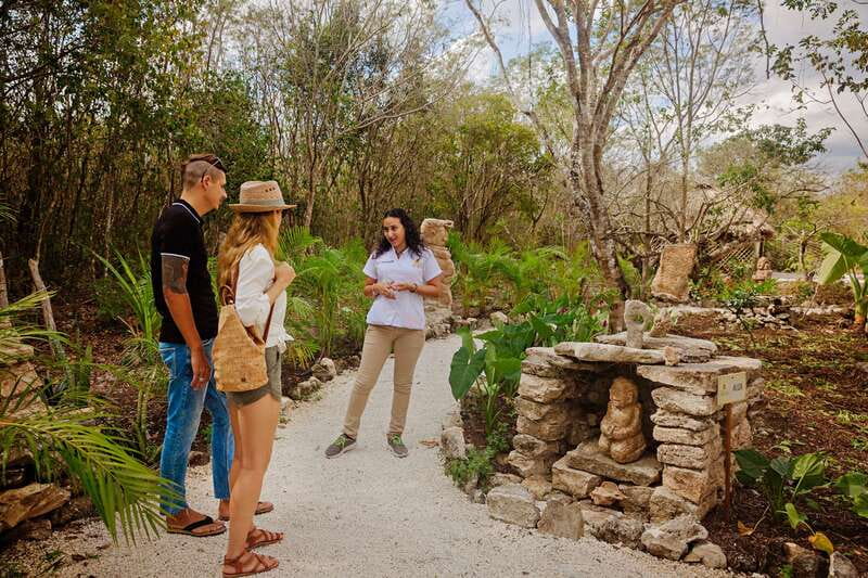 Cozumel: General Entrance to Mayan Bee Sanctuary - How the 45-minute flow actually feels